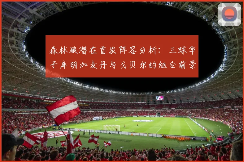 森林狼潜在首发阵容分析：三球华子库明加麦丹与戈贝尔的组合前景如何